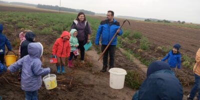 WYKOPKI W POŁĘCKU