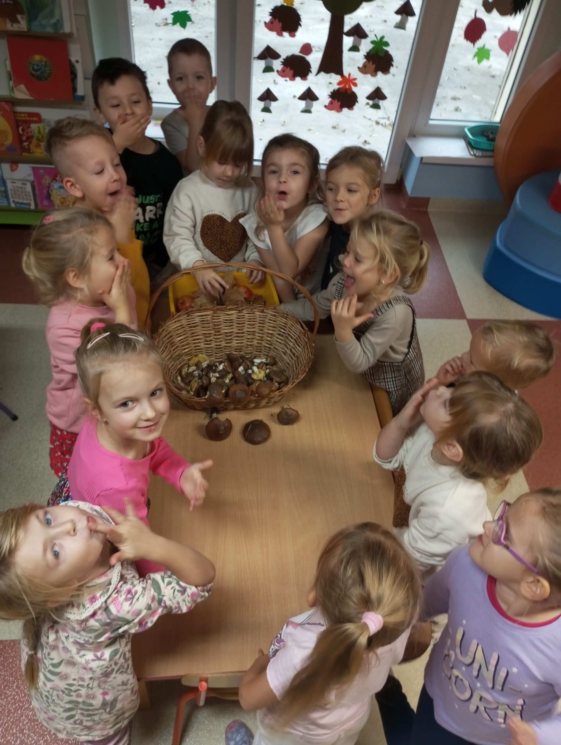 NA GRZYBY Z MISIAMI