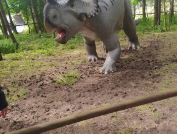 PARK DINOZAURÓW