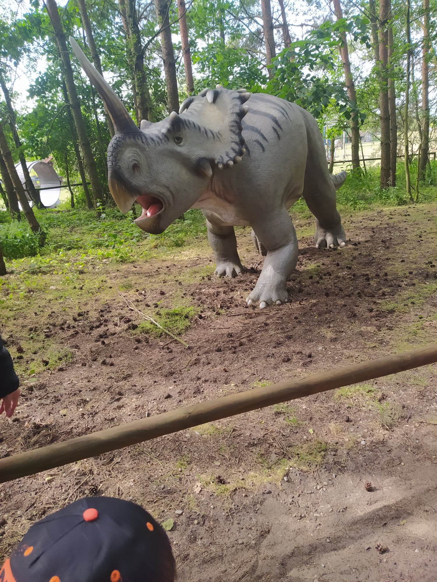 PARK DINOZAURÓW