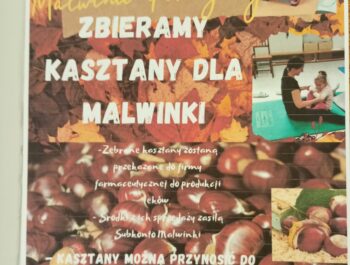 KASZTANKI DLA MALWINKI