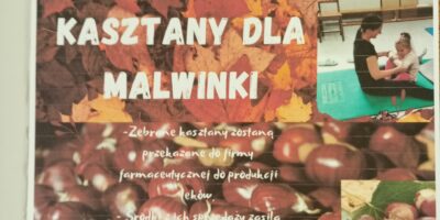 KASZTANKI DLA MALWINKI