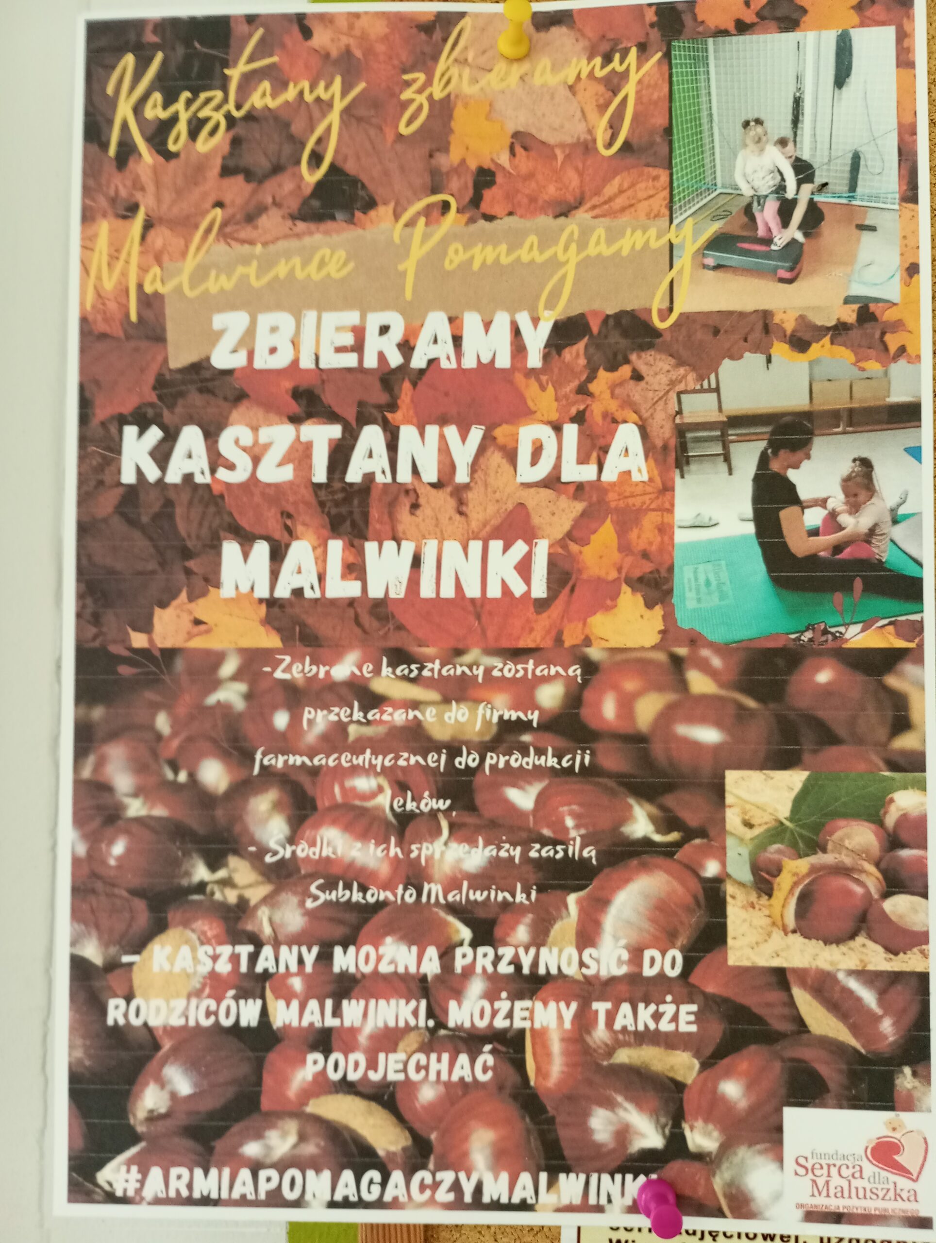 KASZTANKI DLA MALWINKI