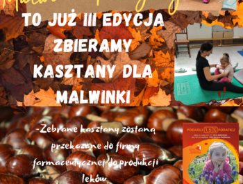 KASZTANKI DLA MALWINKI