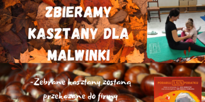 KASZTANKI DLA MALWINKI