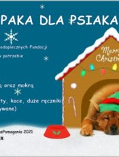PAKA DLA PSIAKA