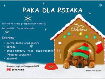 PAKA DLA PSIAKA